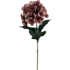 Tekokasvi Bloom Deco Hortensia burgundi