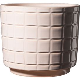 Suojaruukku Paola Rose Blush 19 cm