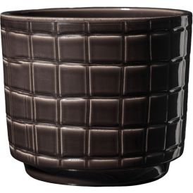 Suojaruukku Paola Obsidian 23 cm