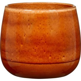 Suojaruukku Ambra 864 24 cm
