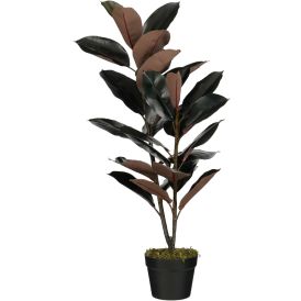 Silkkikasvi Kumiviikuna 90 cm