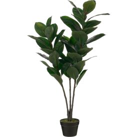 Silkkikasvi Kumiviikuna 120 cm