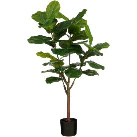 Silkkikasvi Lyyraviikuna 150 cm