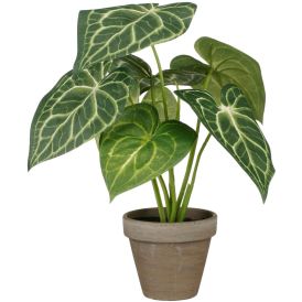 Silkkikasvi Kaladium 28 cm