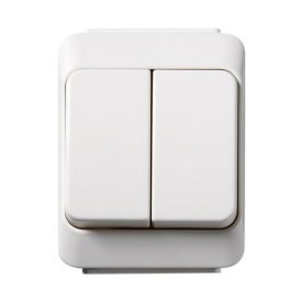 Kytkin Schneider Electric Artic Kruunu IP44 Valkoinen