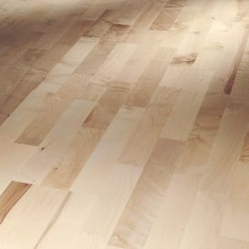 Parketti Parador Basic 11-5 European Maple White Matt