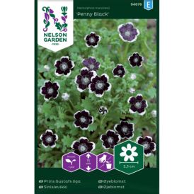 Sinisievikki Nelson Garden Penny Black