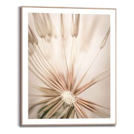 Sisustustaulu Reinders Dandelion Heart 40 x 50 cm