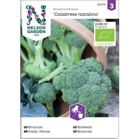Parsakaali Nelson Garden Calabrese Natalino