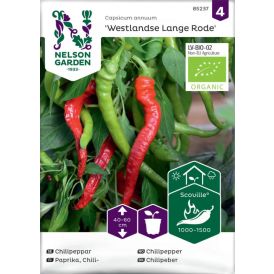 Chilipaprika Nelson Garden Westlandse Lange Rode