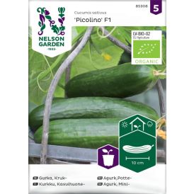 Kurkku Nelson Garden Picolino