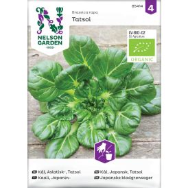 Japanin Kaali Nelson Garden Tatsoi