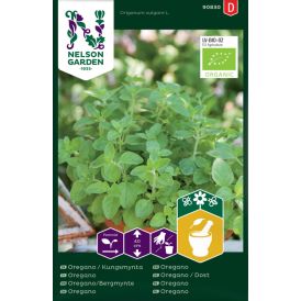 Oregano Nelson Garden