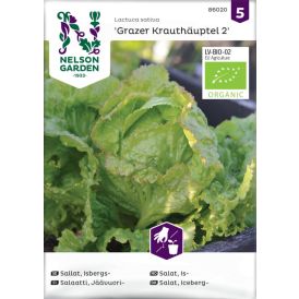 Jäävuorisalaatti Nelson Garden Grazer Krauthäuptel
