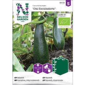 Köynnöskesäkurpitsa Nelson Garden Ola Escaladora