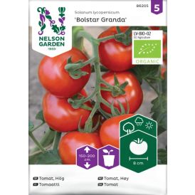 Tomaatti Nelson Garden Ella