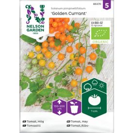 Tomaatti Nelson Garden Golden Currant