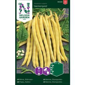 Salkopapu Nelson Garden Neckargold