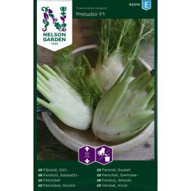 Salaattifenkoli Foeniculum vulgare Preludio
