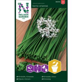 Kiinansipuli Nelson Garden Garlic Oriental