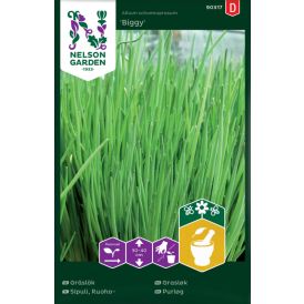 Ruohosipuli Nelson Garden Biggy