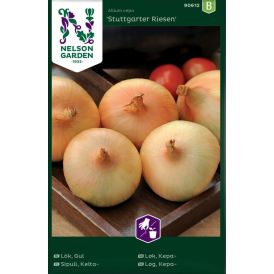 Keltasipuli Nelson Garden Stuttgarter Riesen