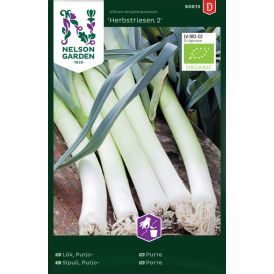 Purjosipuli Nelson Garden Herbstriesen