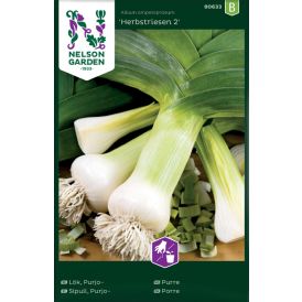 Purjosipuli Nelson Garden Herbstriesen
