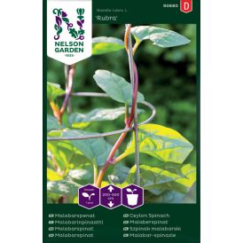 Malabarinpinaatti Nelson Garden Rubra