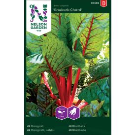 Lehtimangoldi Nelson Garden Rhubarb Chard