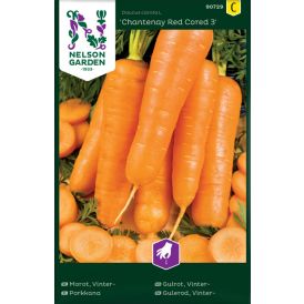 Talviporkkana Nelson Garden Chantenay Red Cored