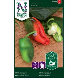 Chilipaprika Nelson Garden Padron