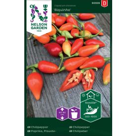 Chilipaprika Nelson Garden Biquinho