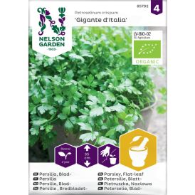 Persilja Nelson Garden sileälehtinen Gigante Italia