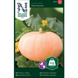Jättikurpitsa Nelson Garden Gele Reuzen