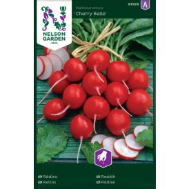 Retiisi Cherry Nelson Garden Belle