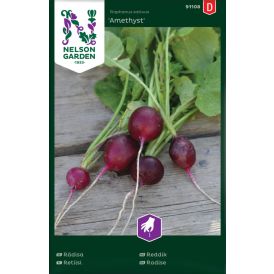 Retiisi Nelson Garden Amethyst