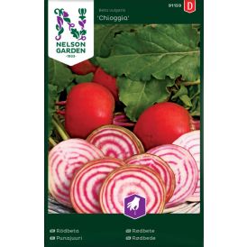Punajuurikas raita Nelson Garden Chioggia