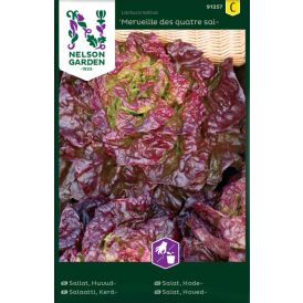 Keräsalaatti Nelson Garden Merveille des quatre saisons