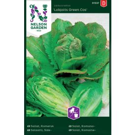 Sidesalaatti Nelson Garden Lobjoits Green Cos