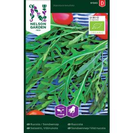 Villirukola Nelson Garden Isohietasinappi