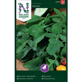 Sinappikaali Nelson Garden Rucola