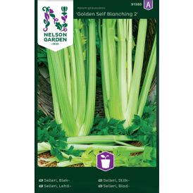 Lehtiselleri Nelson Garden Golden Self Blanching