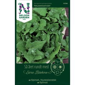 Lamopinaatti Nelson Garden Neuseelaender