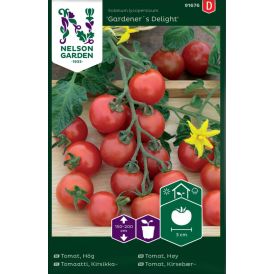 Kirsikkatomaatti Nelson Garden Gardeners Delight