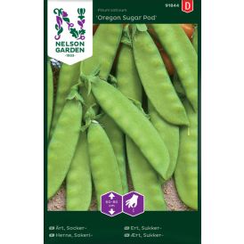 Sokeriherne Nelson Garden Oregon Sugar Pod