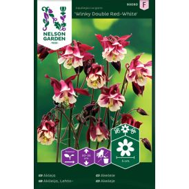 Lehtoakileija Nelson Garden Winky Double Red-White