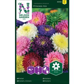 Kiinanasteri Nelson Garden Princess mix