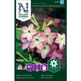 Koristetupakka Avalon Lime Purple Bicolour