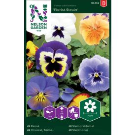 Tarhaorvokki Nelson Garden Florist Strain